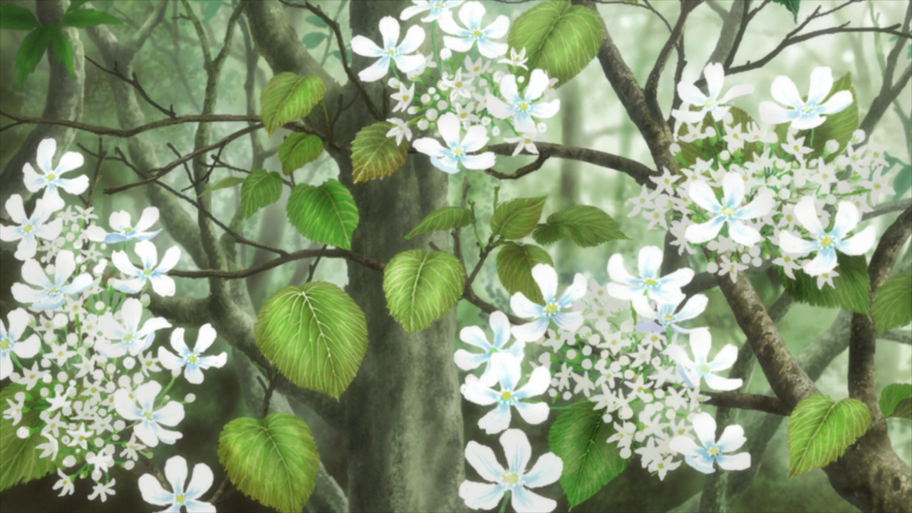 Mushishi Zoku Shou s2 (Anacrónico Fansub, Bakari Subs)